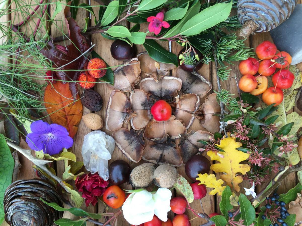 La Source, Vegetarian Guest House Chabeuil Luaran gambar